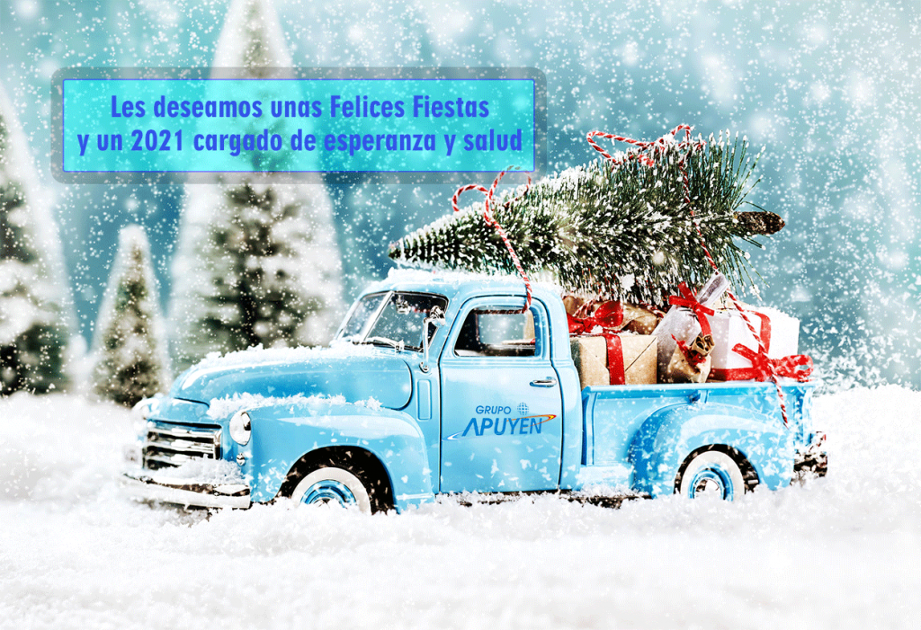 Grupo Apuyen Les Desea Unas Felicies Fiestas PWGS Programa Web 
